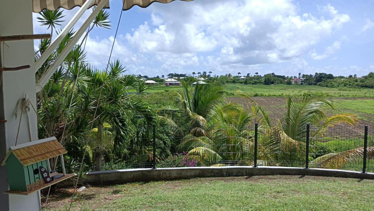 T2 Jardin Clos Les Nids De La Colline Saint-Francois  Buitenkant foto